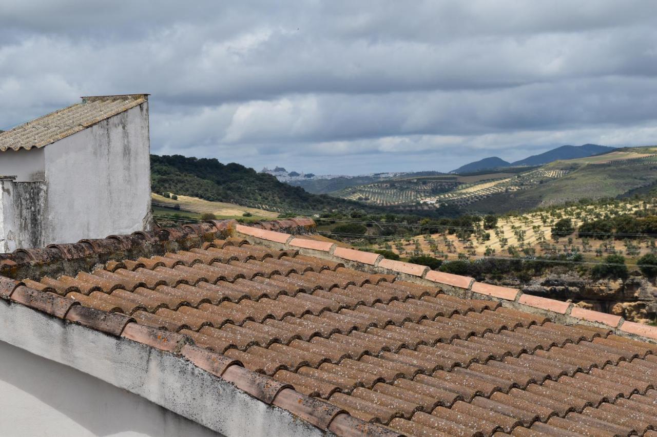 Alojamiento Rural Carmen Setenil De Las Bodegas Luaran gambar